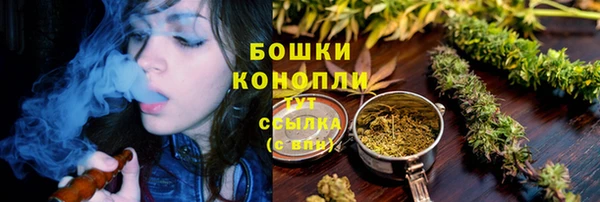амф Белоозёрский