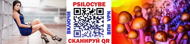 shop состав  Майкоп  Псилоцибиновые грибы Psilocybine cubensis 
